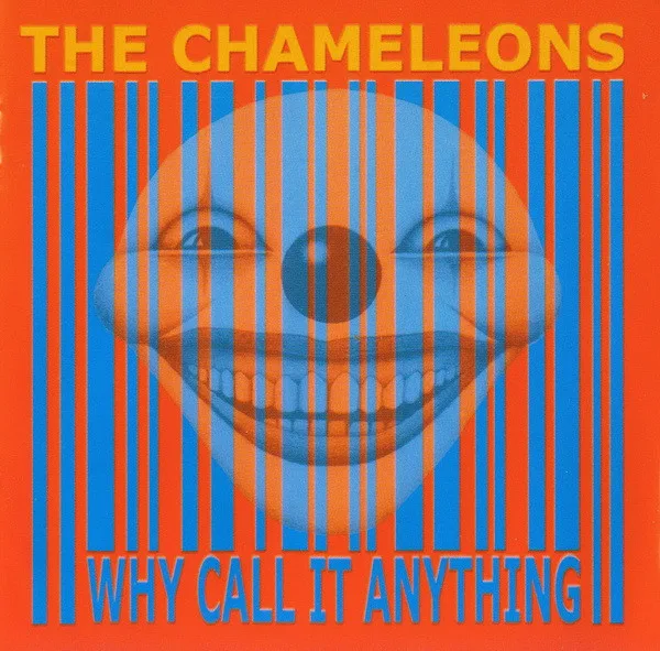 Are You Still There? song track artwork featured on the album Why Call It Anything by The Chameleons