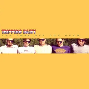 The Tops Off Our Head