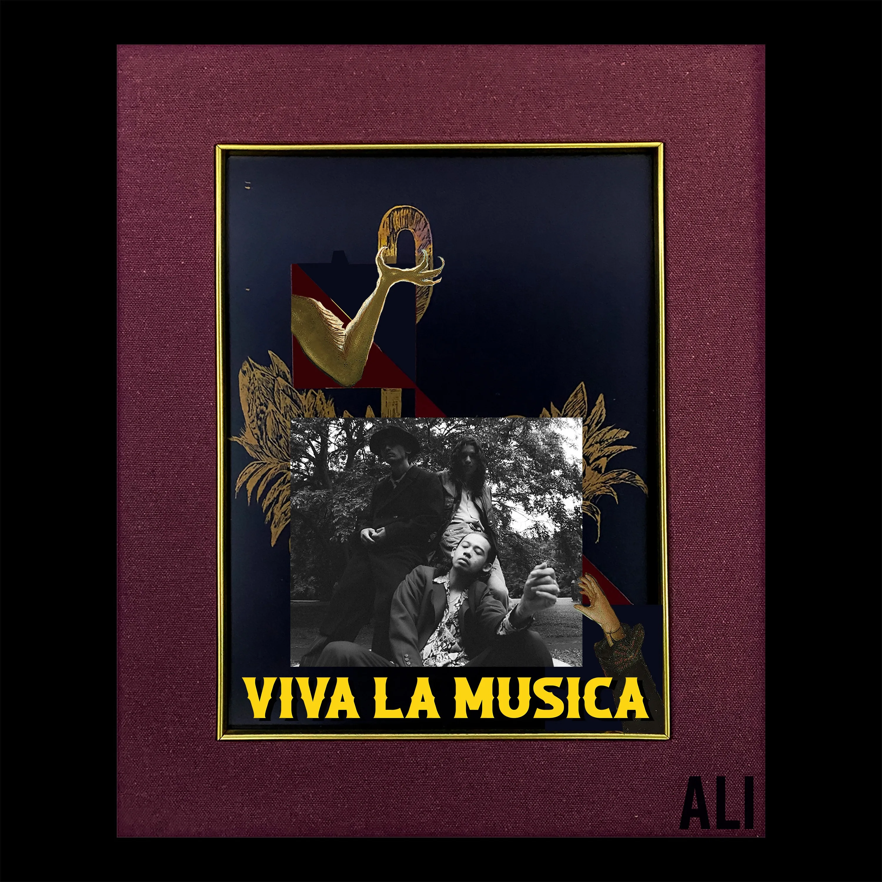 Official album cover art for the release VIVA LA MUSICA by ALI