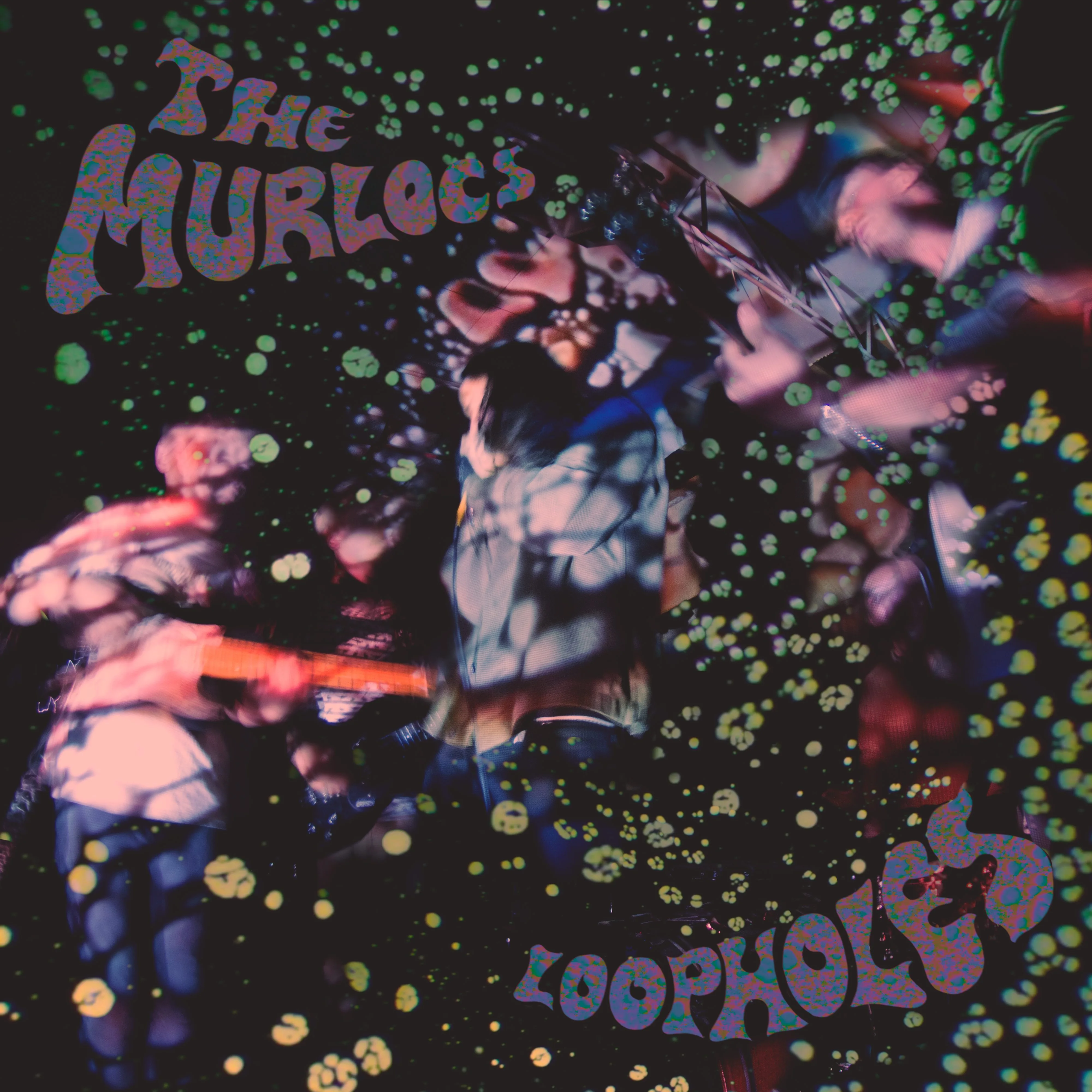 Official album cover art for the release Loopholes by The Murlocs
