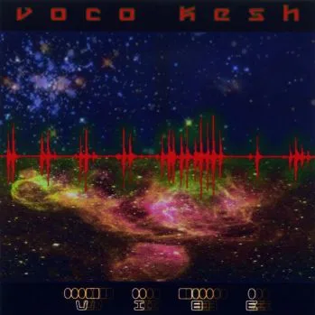 Official album cover art for the release Vibe by Vocokesh