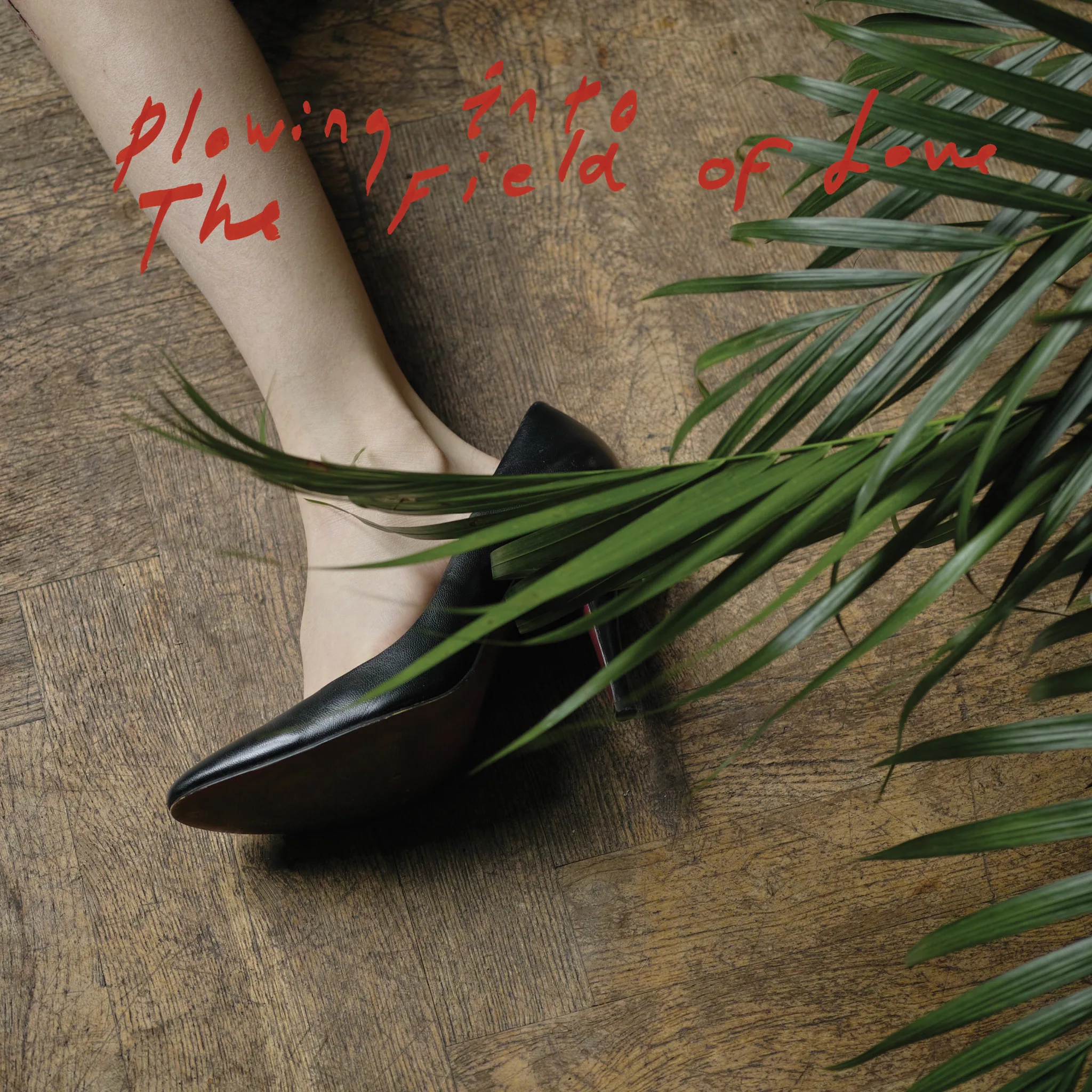 Official album cover art for the release Plowing Into the Field of Love by Iceage