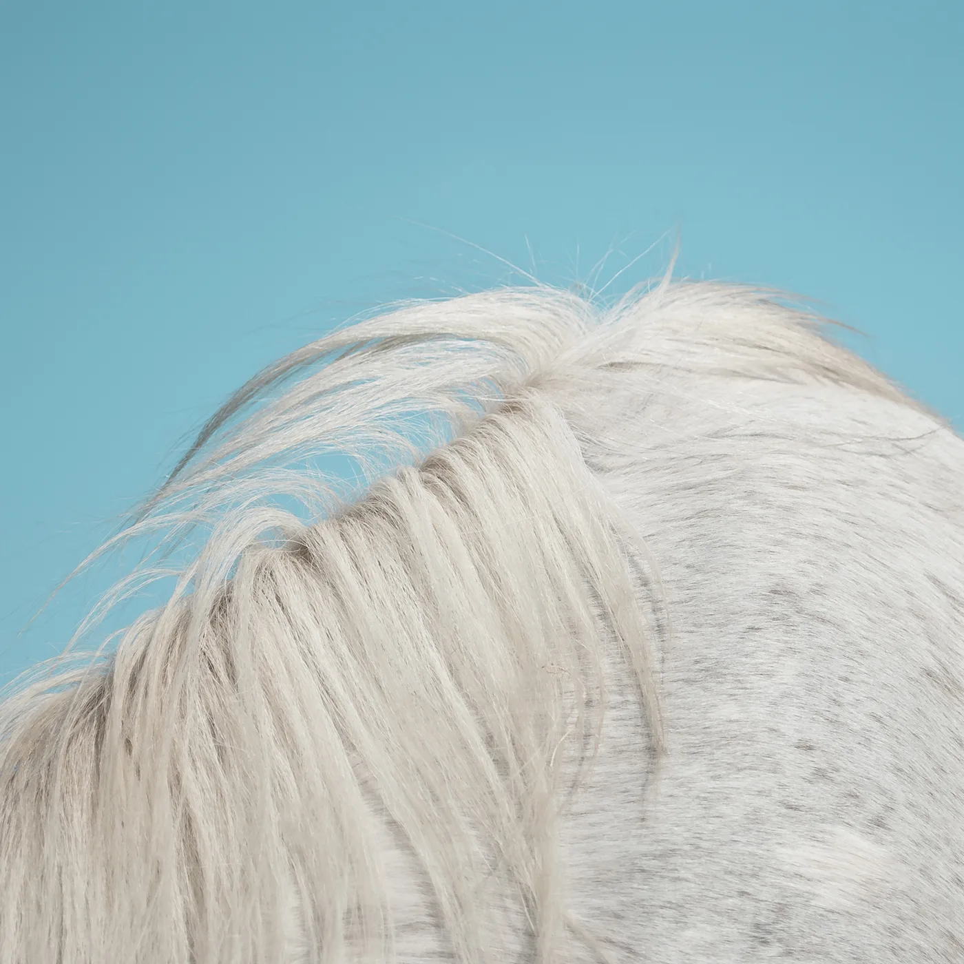 Official album cover art for the release All Yours by Widowspeak