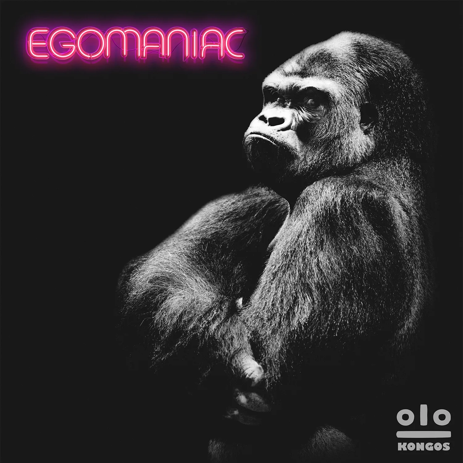 Official album cover artwork for Egomaniac by Kongos