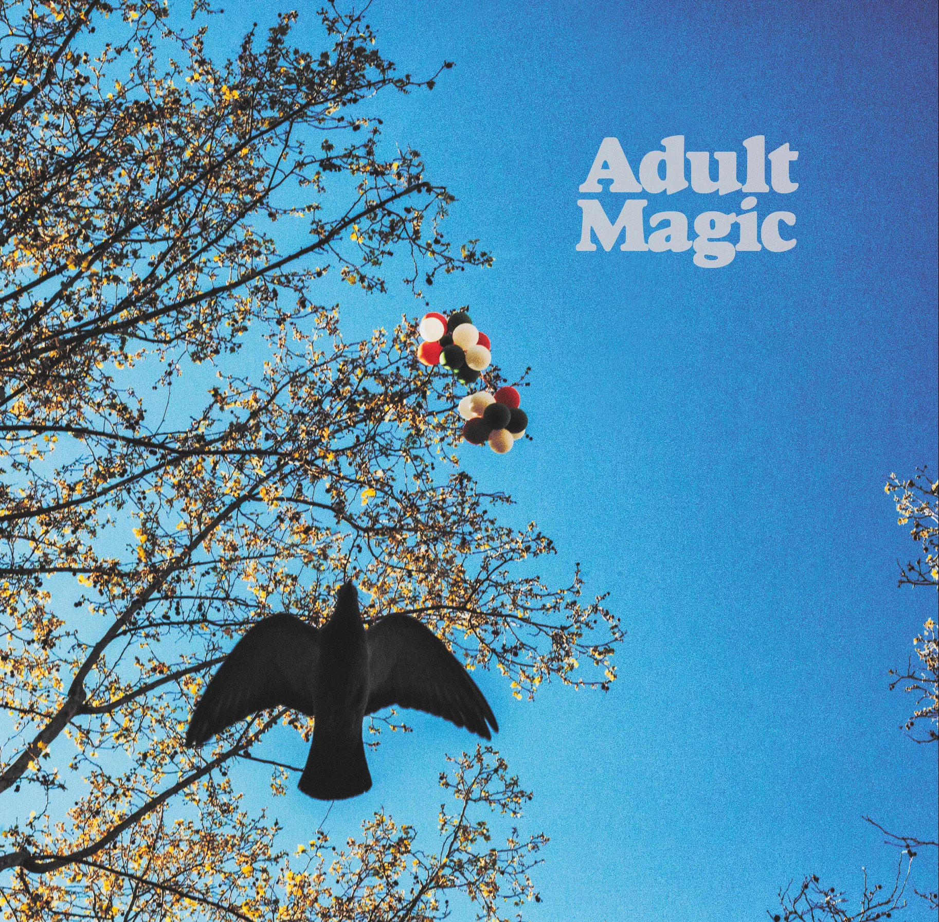 Official album cover art for the release Adult Magic by Adult Magic