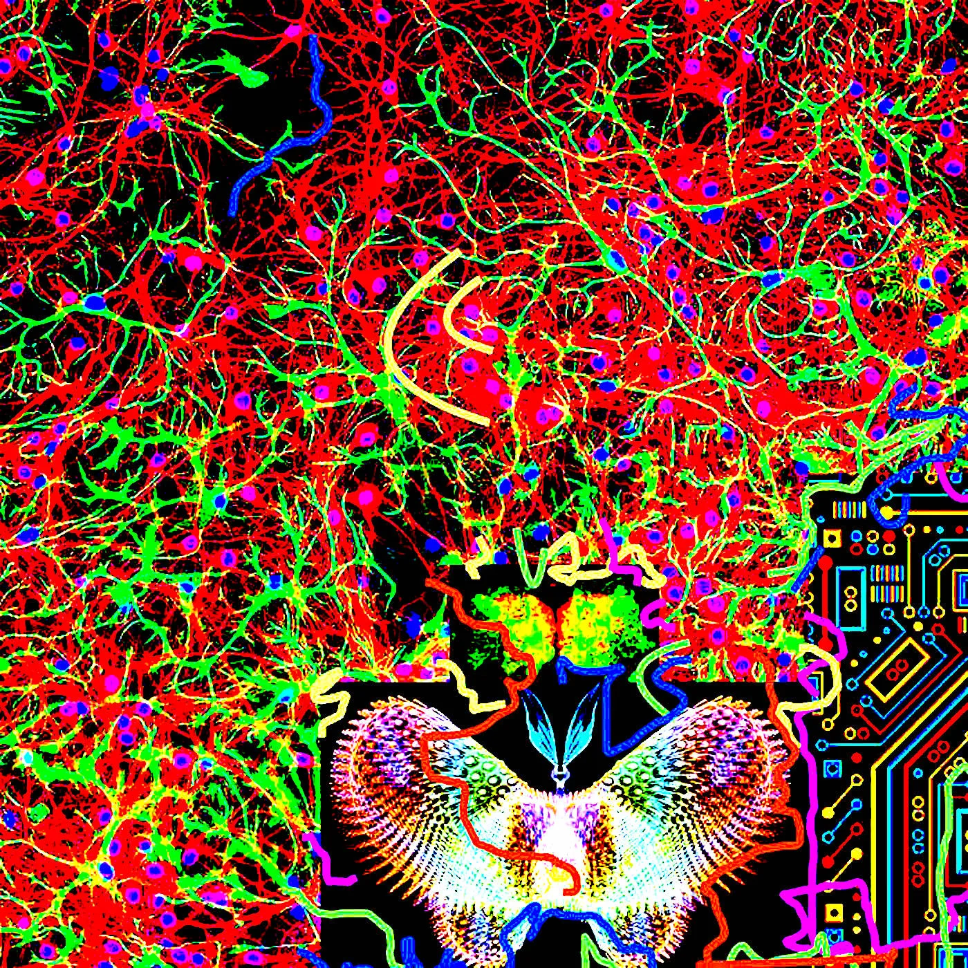 Chaos and Transformation