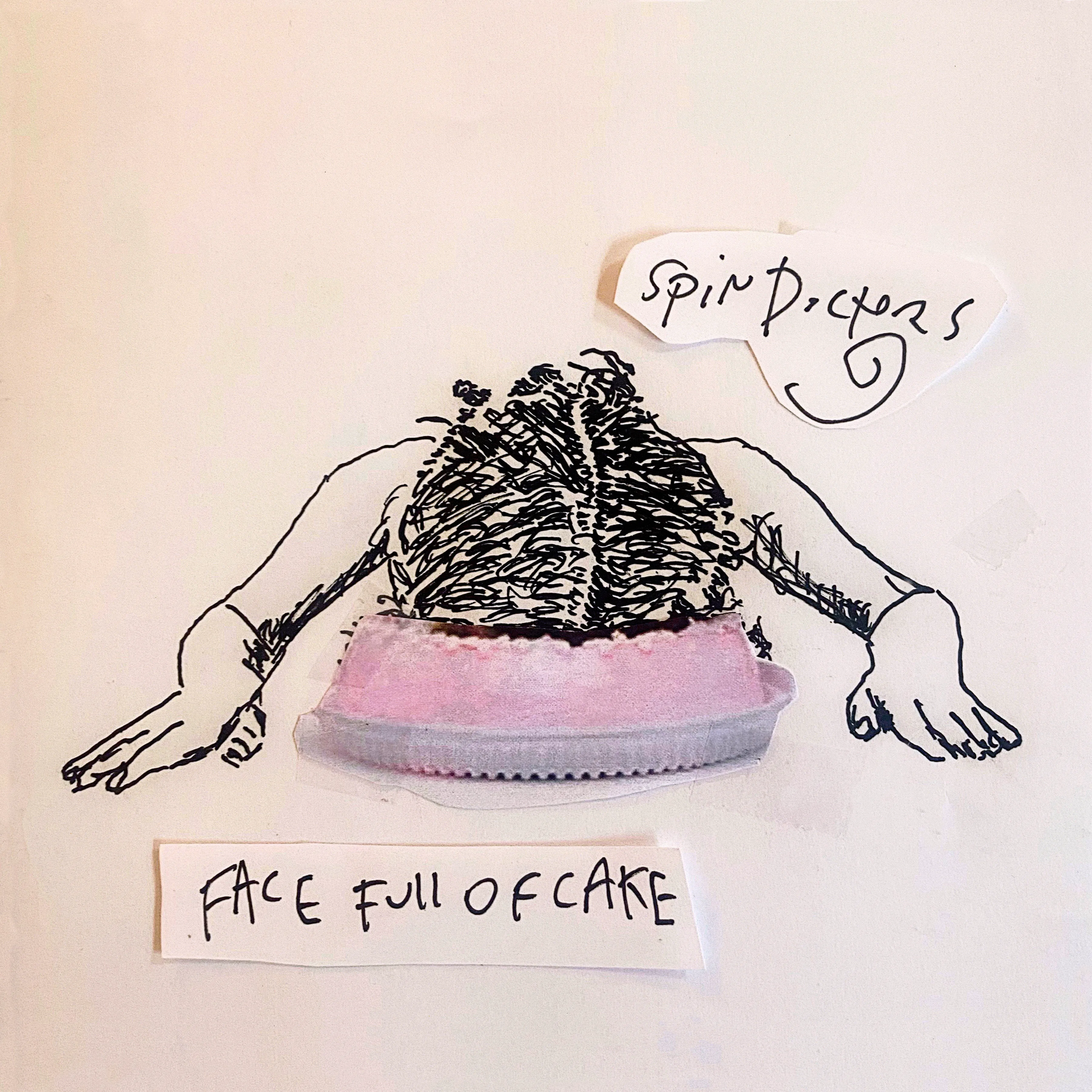 Face Full of Cake