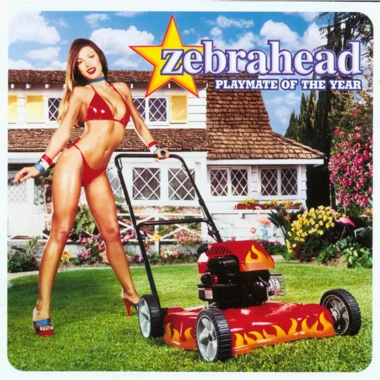 Official album cover art for the release Playmate of the Year by Zebrahead