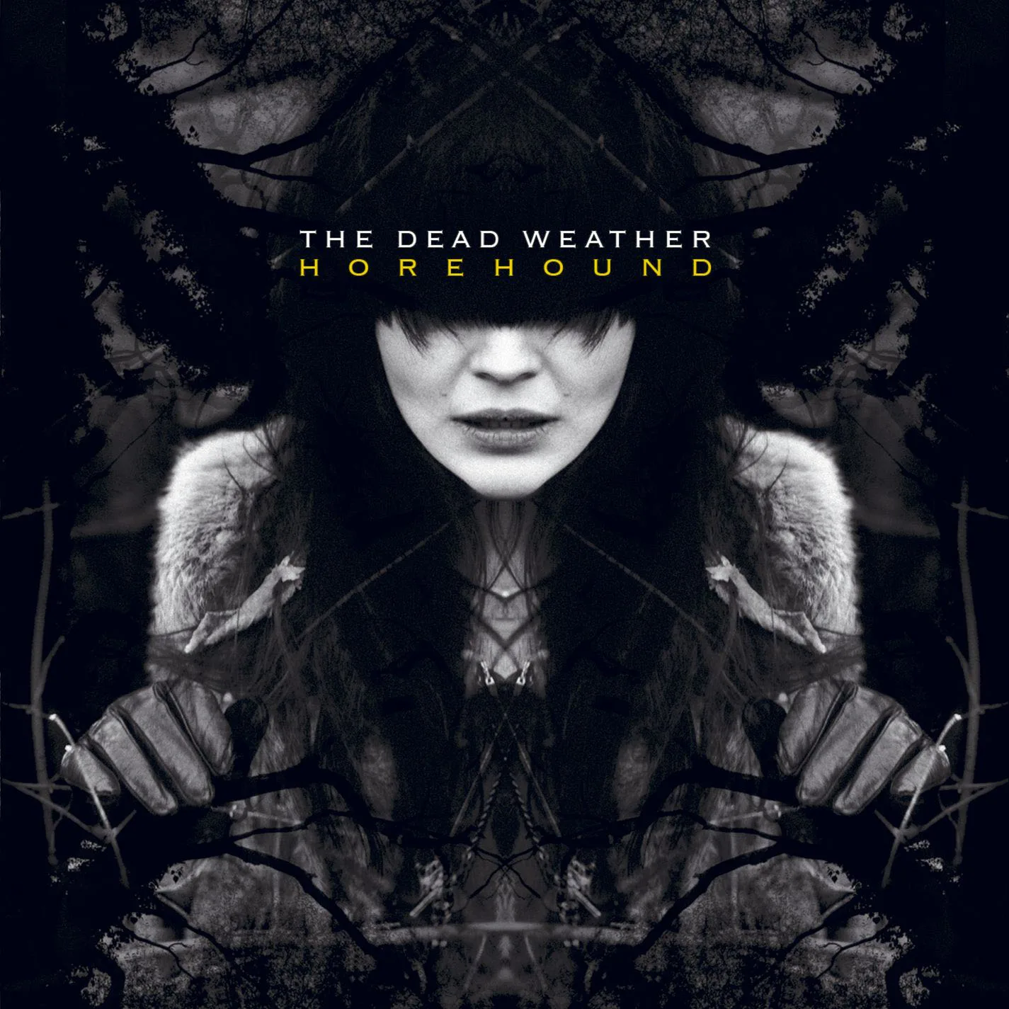 Official album cover art for the release Horehound by The Dead Weather