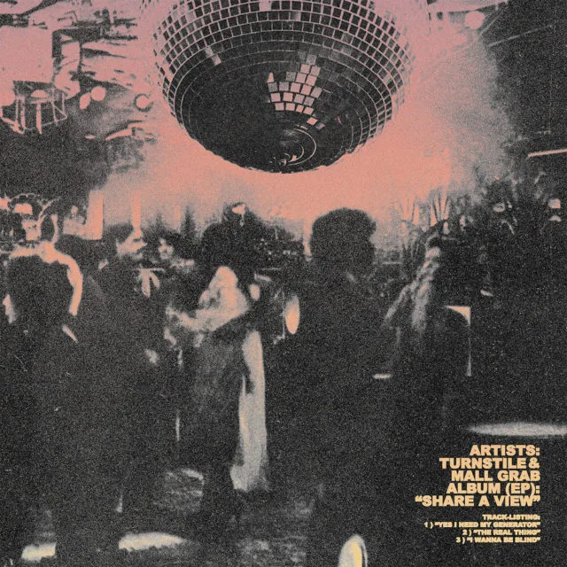 Official album cover art for the release Share a View by Turnstile