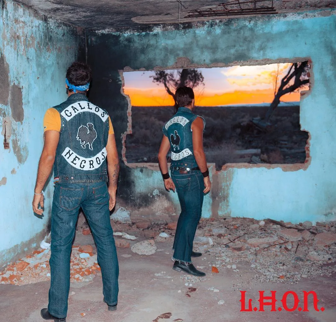 Official album cover artwork for L.H.O.N. by Illya Kuryaki and the Valderramas