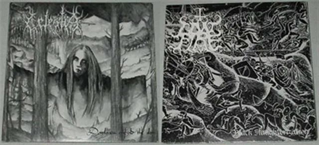 Official album cover art for the release Darkness Enfold the Sky / Black Slaughterization by Celestia