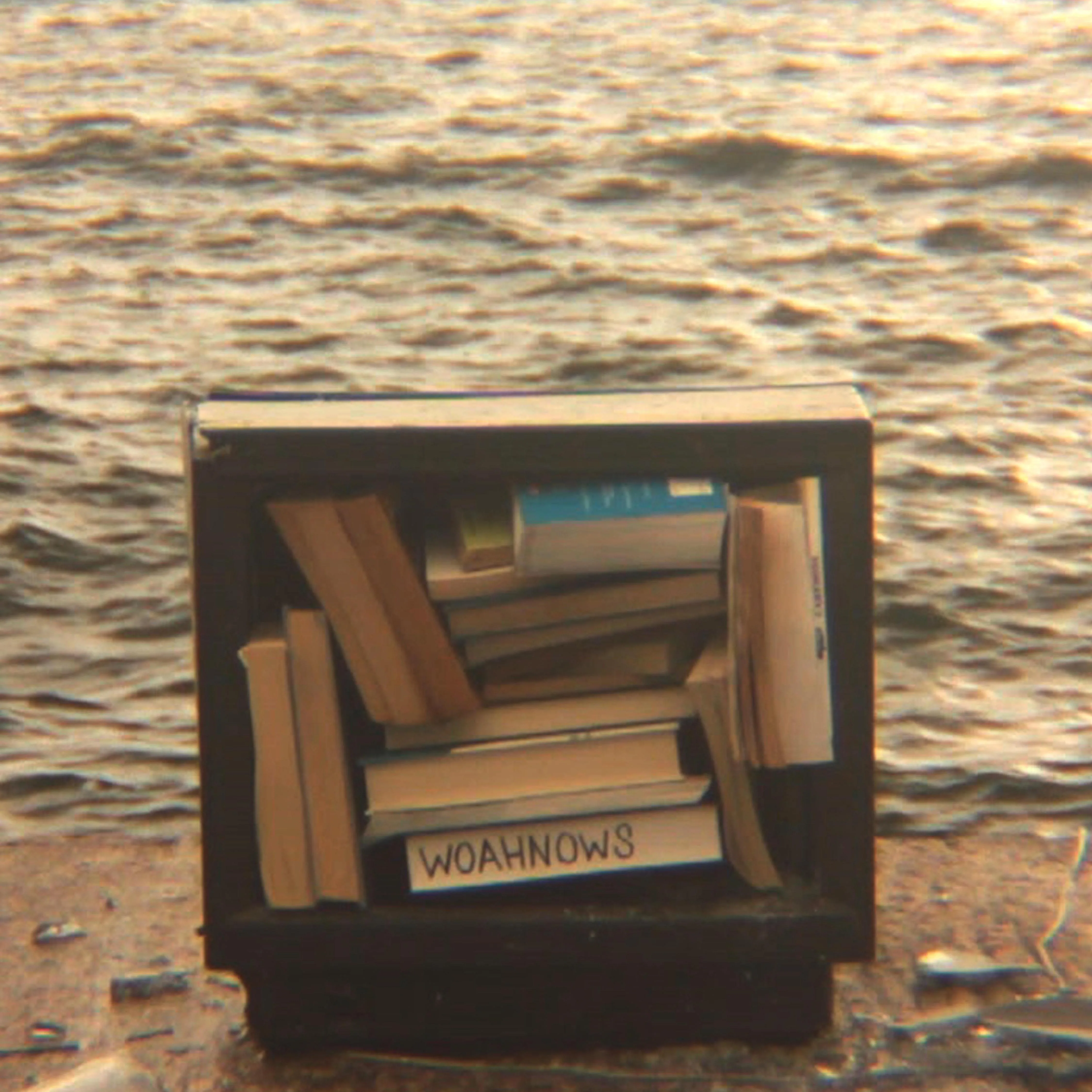 Official album cover art for the release Foma by Woahnows