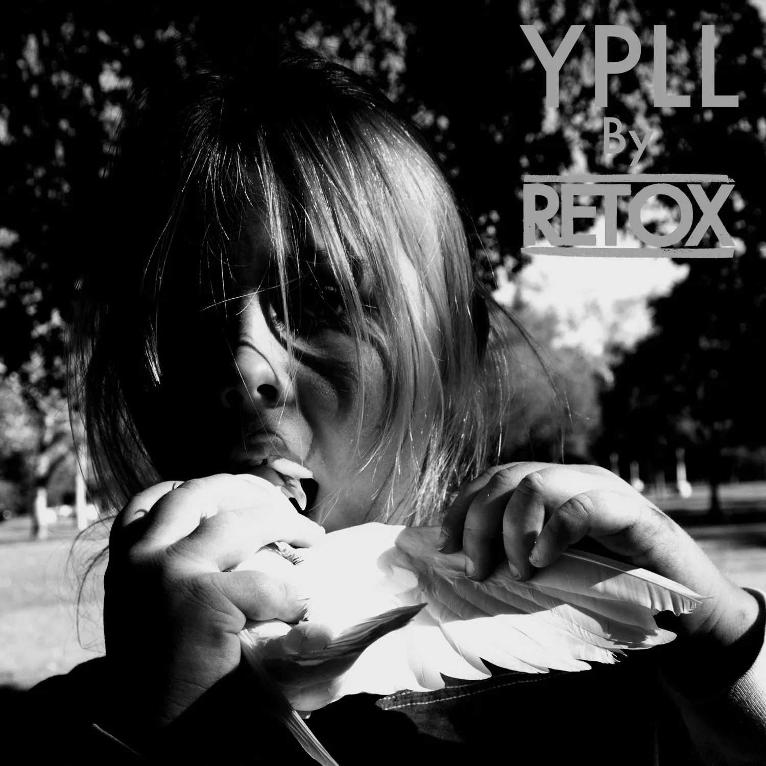 Official album cover art for the release YPLL by Retox