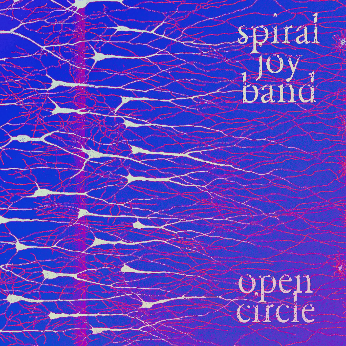 Open Circle
