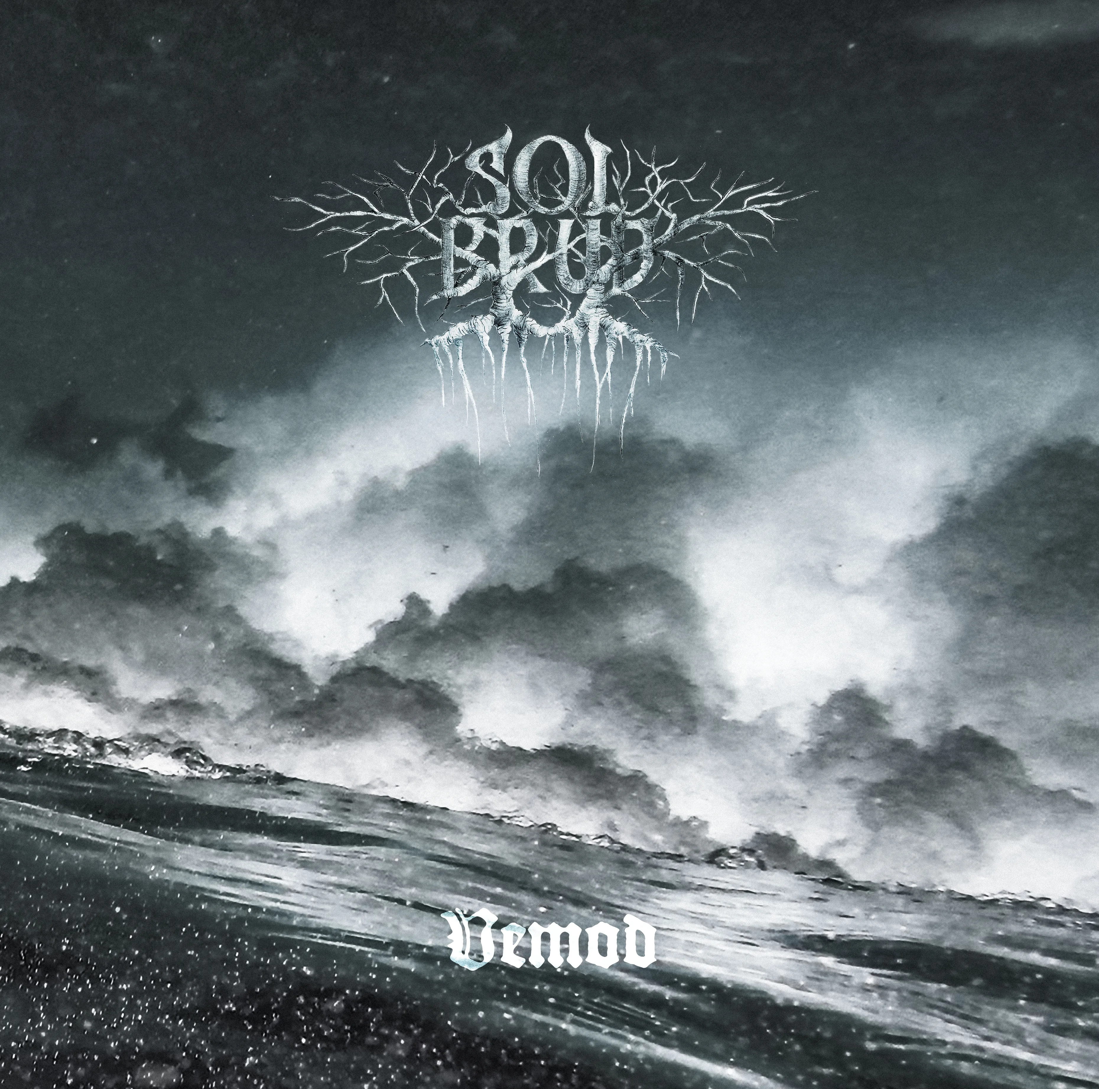 Official album cover artwork for Vemod by Solbrud