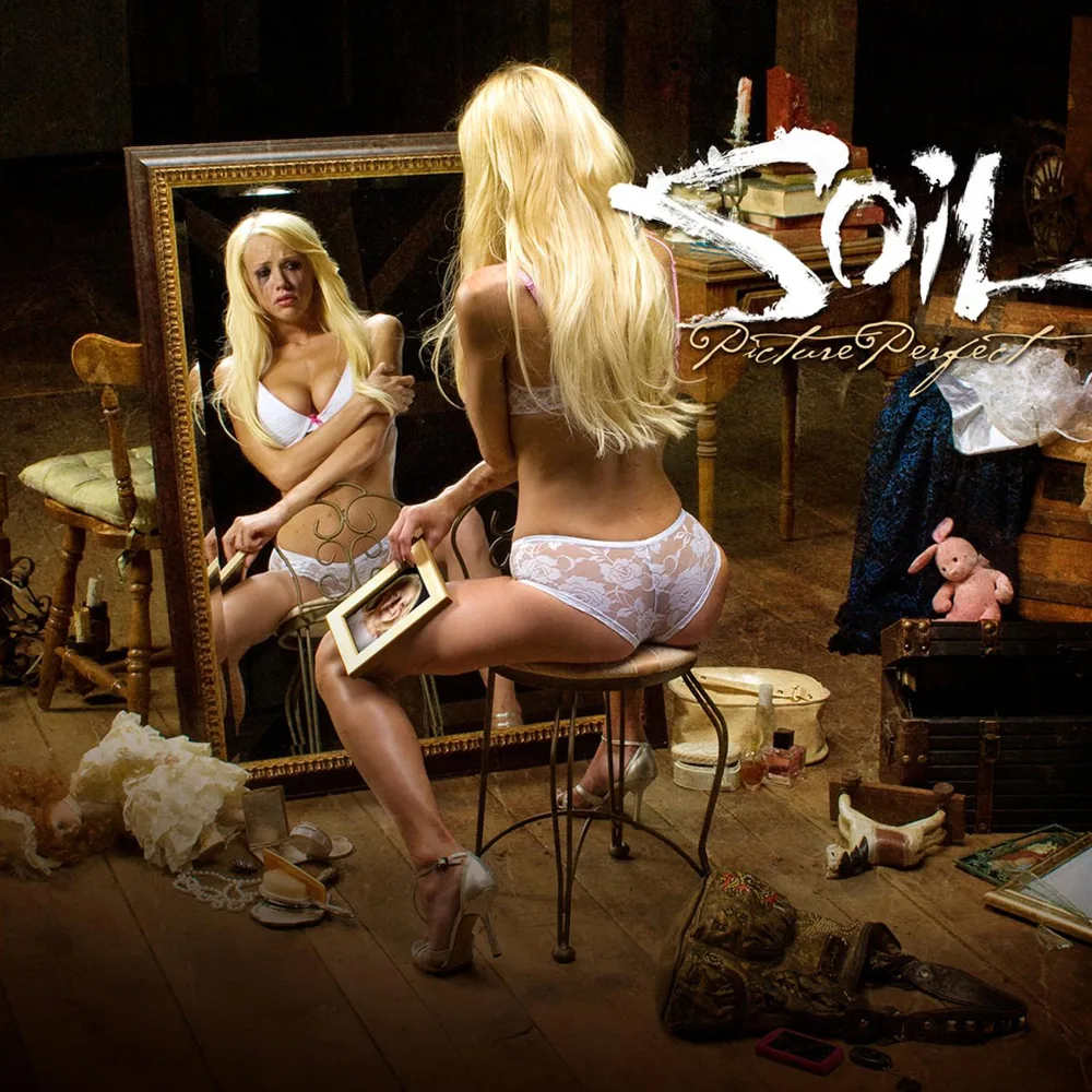 Official album cover art for the release Picture Perfect by SOiL