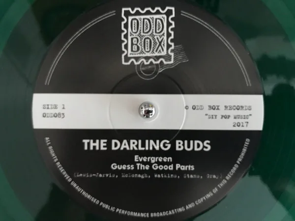 Official album cover art for the release Evergreen by The Darling Buds