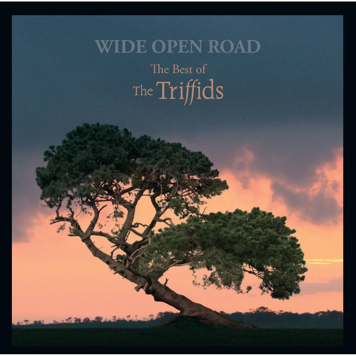 Official album cover art for the release Wide Open Road: The Best of The Triffids by The Triffids