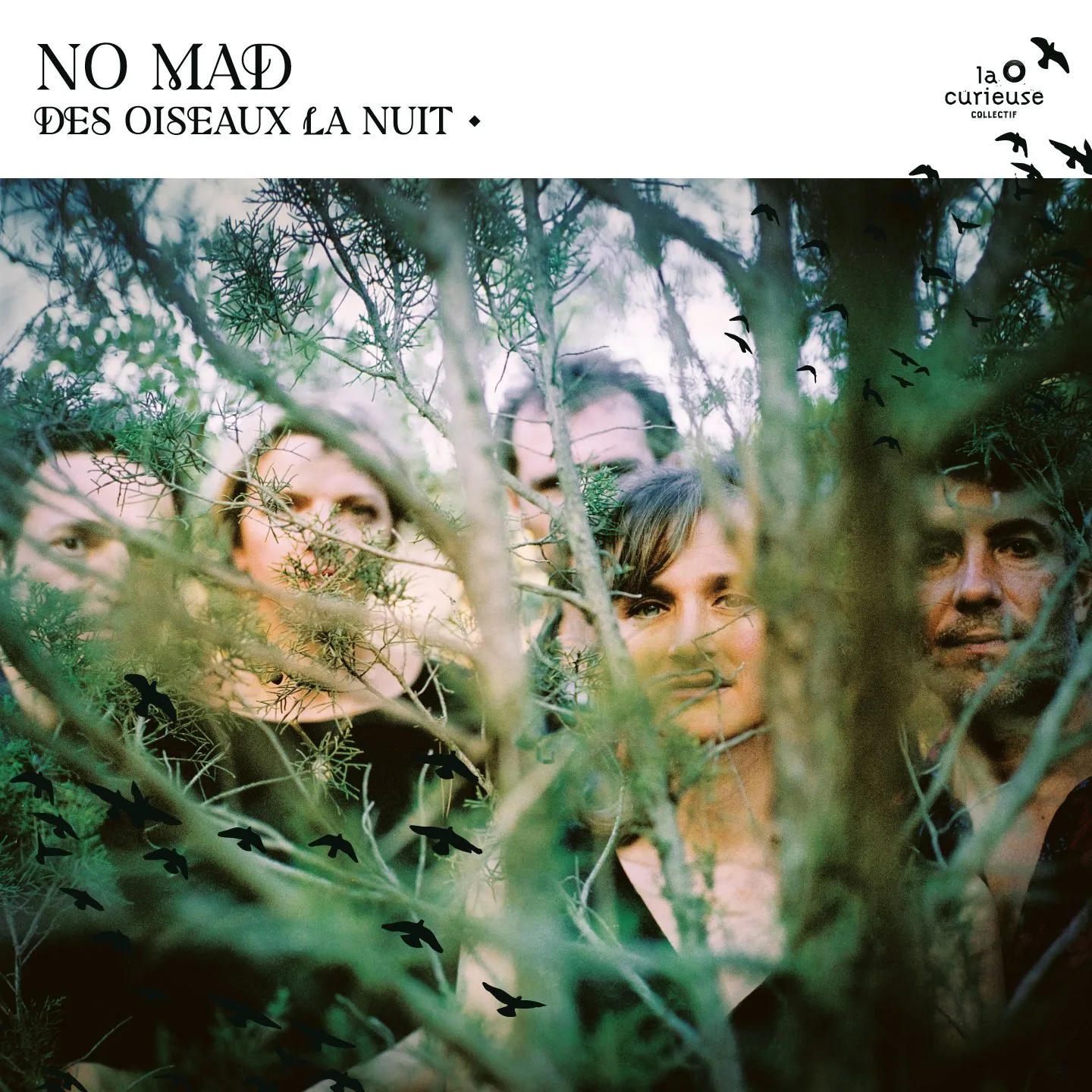 Official album cover art for the release Des oiseaux la nuit by No Mad?