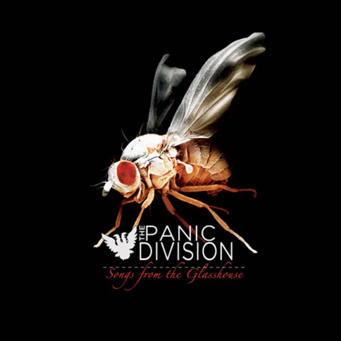 Official album cover art for the release Songs From the Glass House by The Panic Division