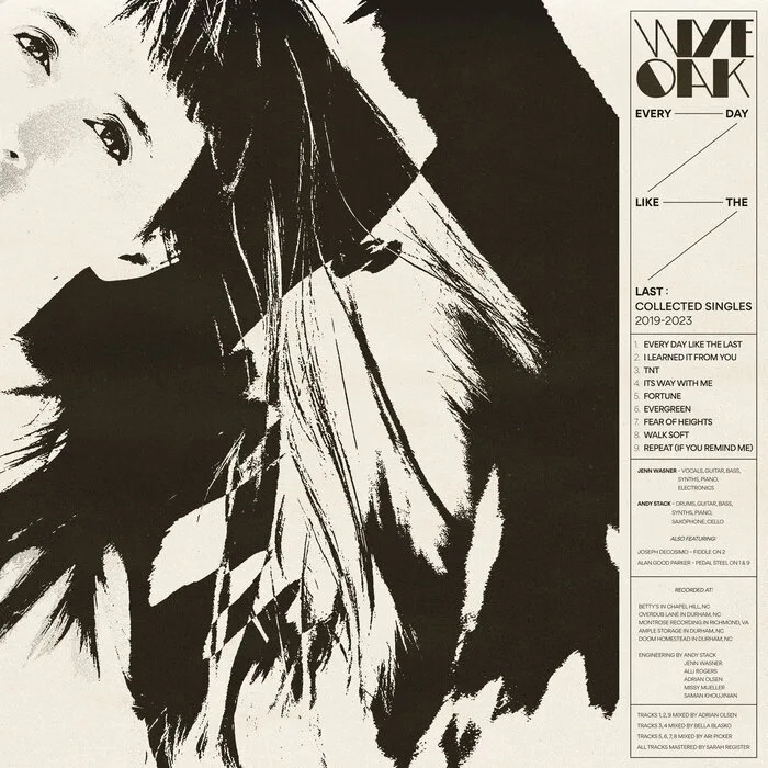 I Learned It From You song track artwork featured on the album Every Day Like The Last by Wye Oak