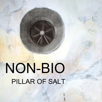 Official album cover art for the release Pillar of Salt by Non-Bio