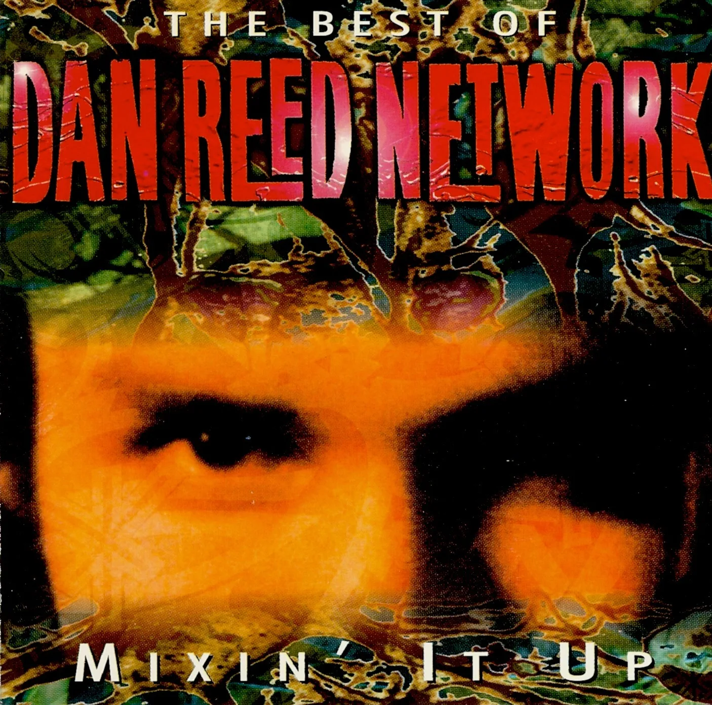Official album cover art for the release Mixin’ It Up by Dan Reed Network
