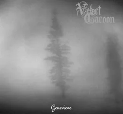 Official album cover art for the release Genevieve by Velvet Cacoon