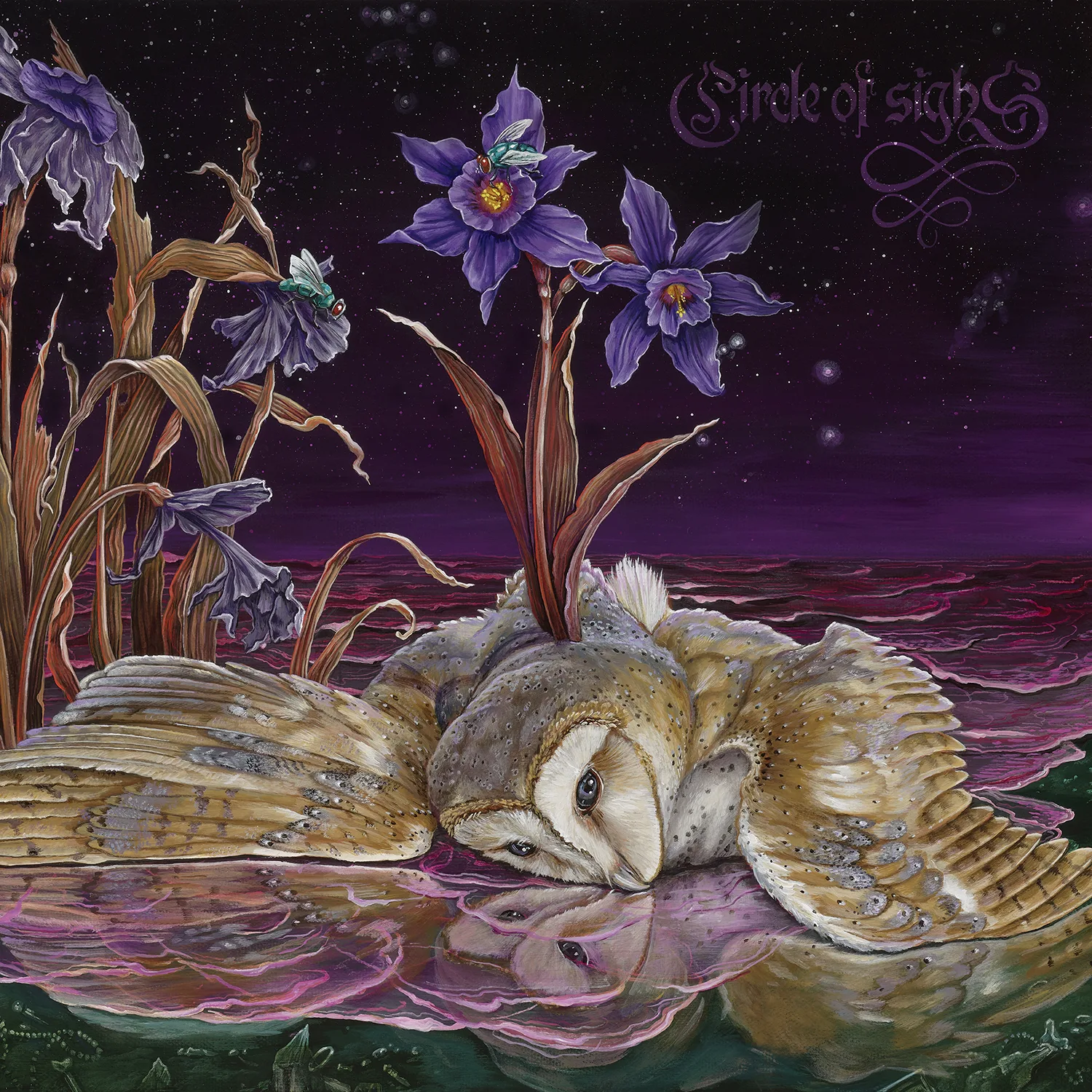 Official album cover art for the release Narci by Circle of Sighs