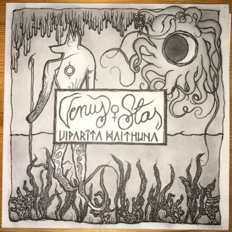 Official album cover artwork for Viparita Maithuna by Venus Star