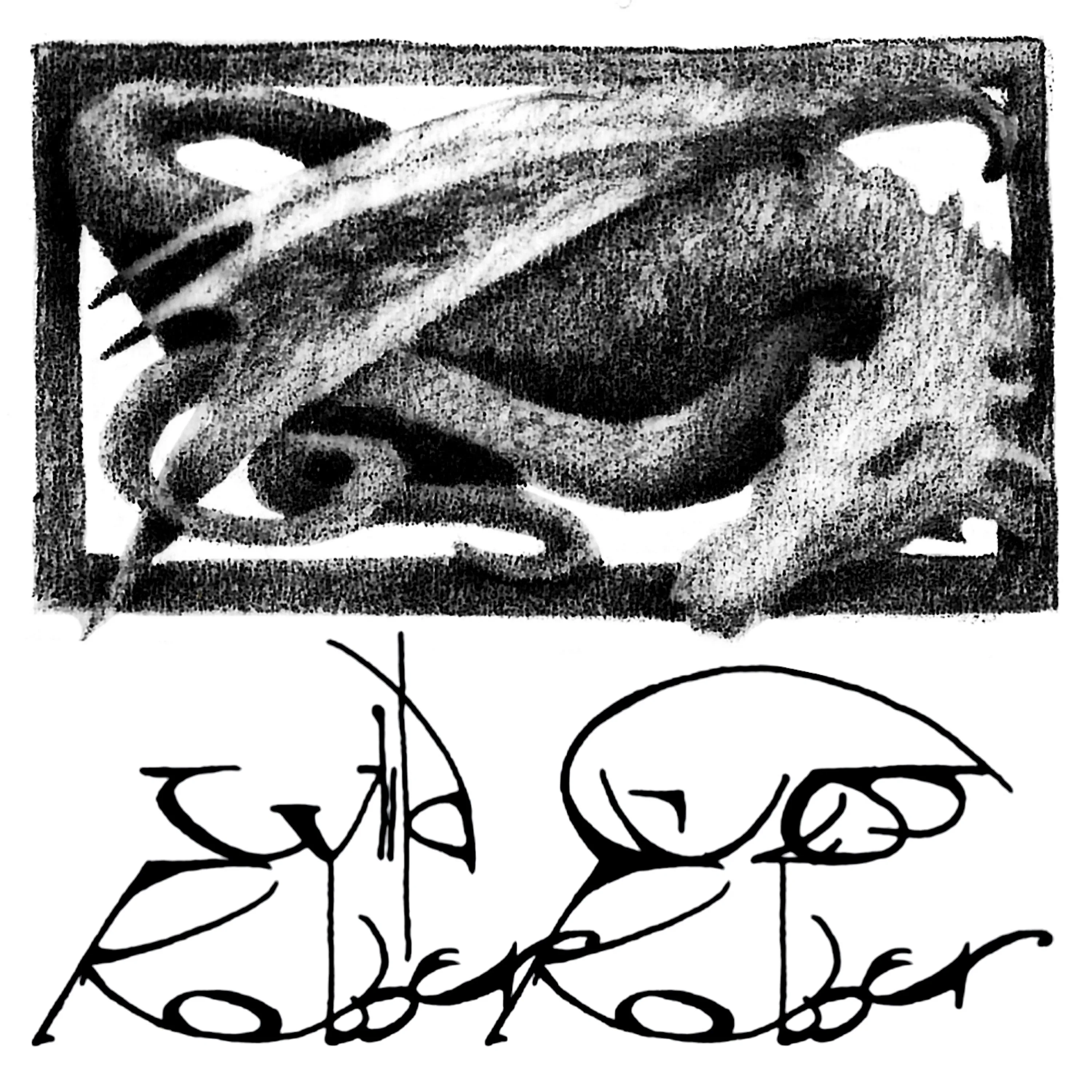 Official album cover art for the release Wild Guess by Robber Robber