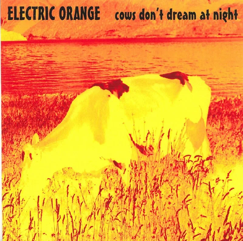 Cows Don't Dream at Night