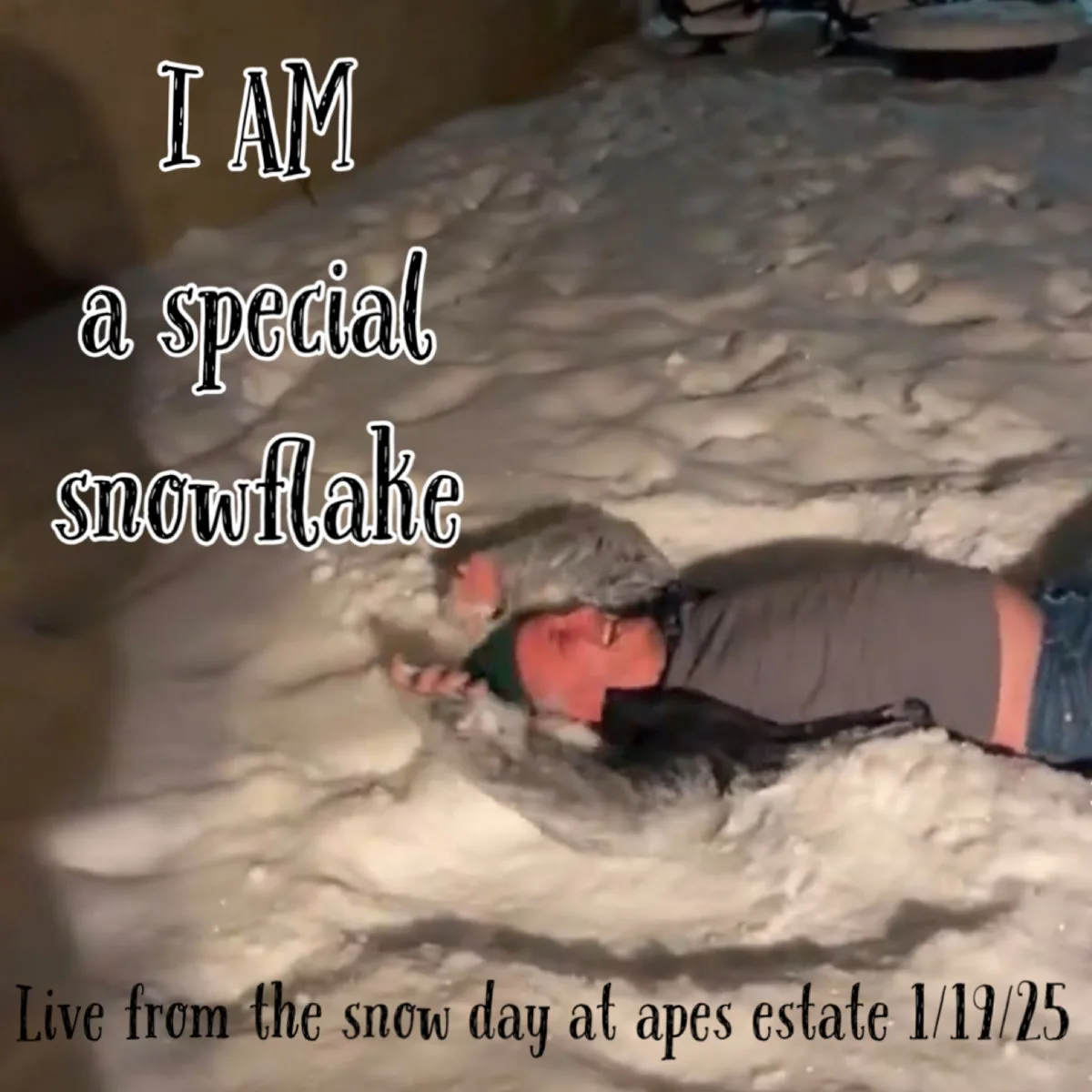 Official album cover art for the release I AM a Special Snowflake (Live at the Apes Estate 1/19/25) by Apes of the State