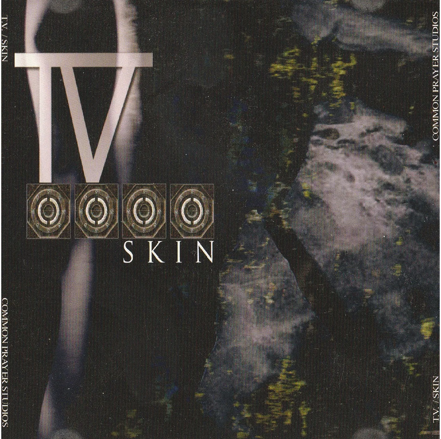 Official album cover art for the release Skin by Tragic Visions