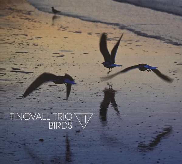 Official album cover art for the release Birds by Tingvall Trio