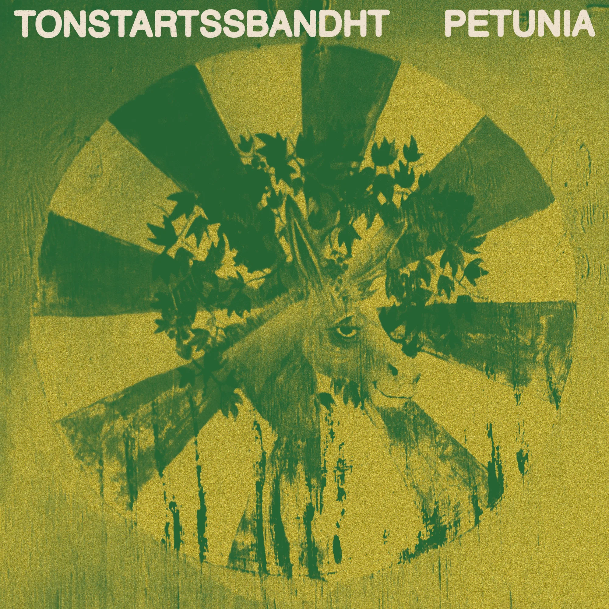 Official album cover art for the release Petunia by Tonstartssbandht