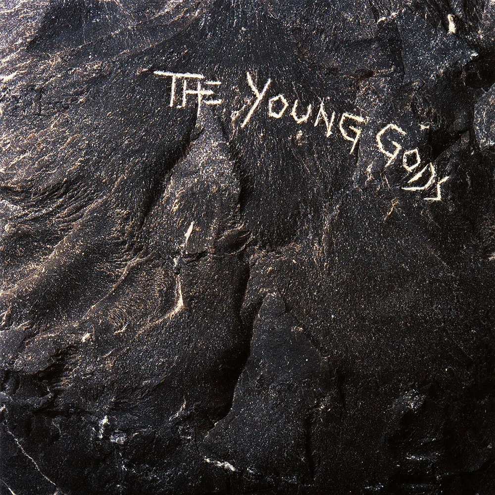 Fais la mouette song track artwork featured on the album The Young Gods by The Young Gods