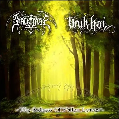 Official album cover art for the release The Sadness Of Fallen Leaves by Black Jade