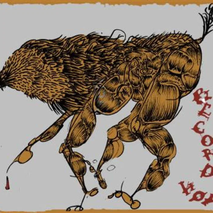 Official album cover art for the release Record Hop by Record Hop