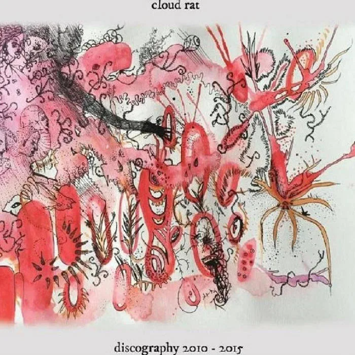 Official album cover artwork for Discography 2010-2015 by Cloud Rat