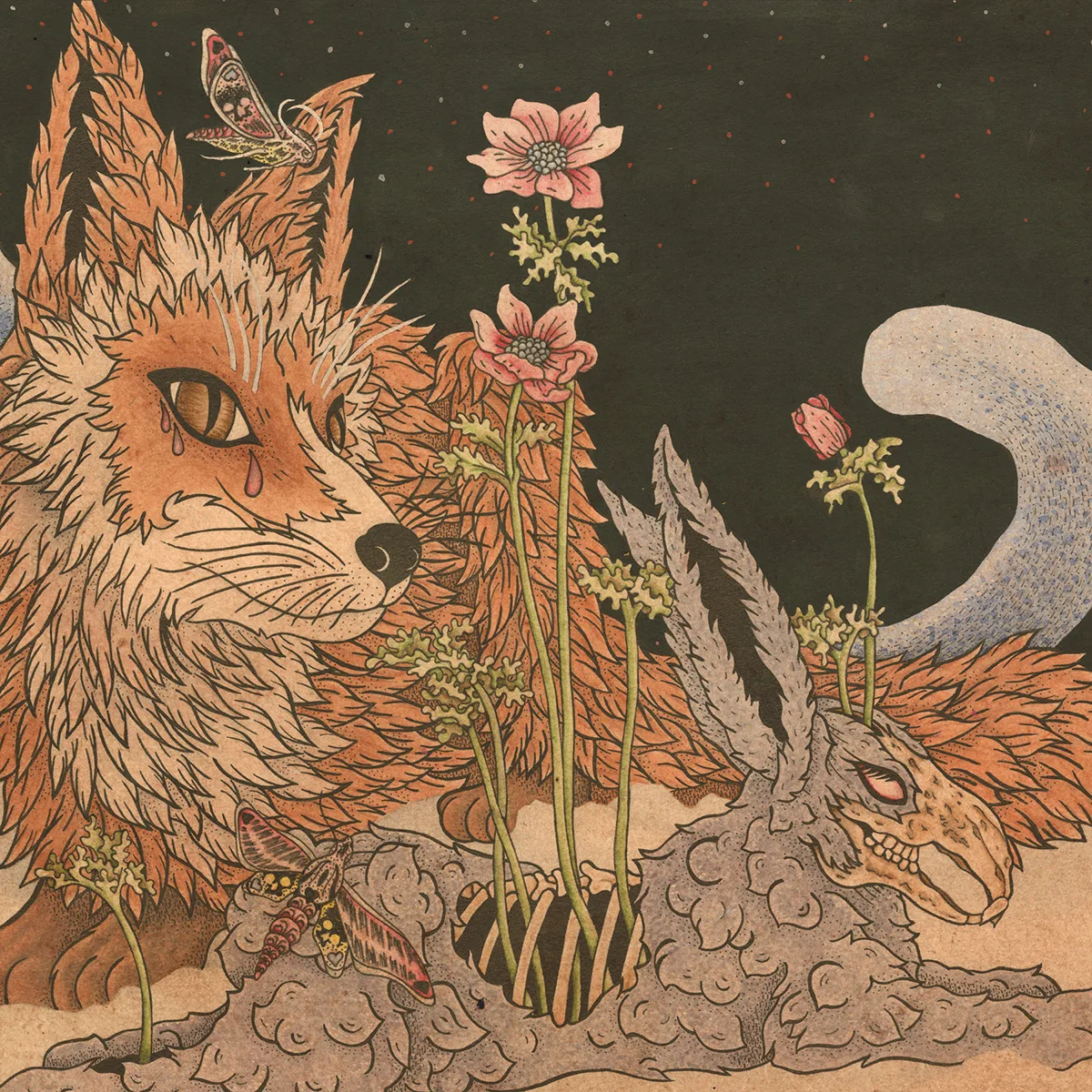 Official album cover artwork for Prey by Planes Mistaken for Stars