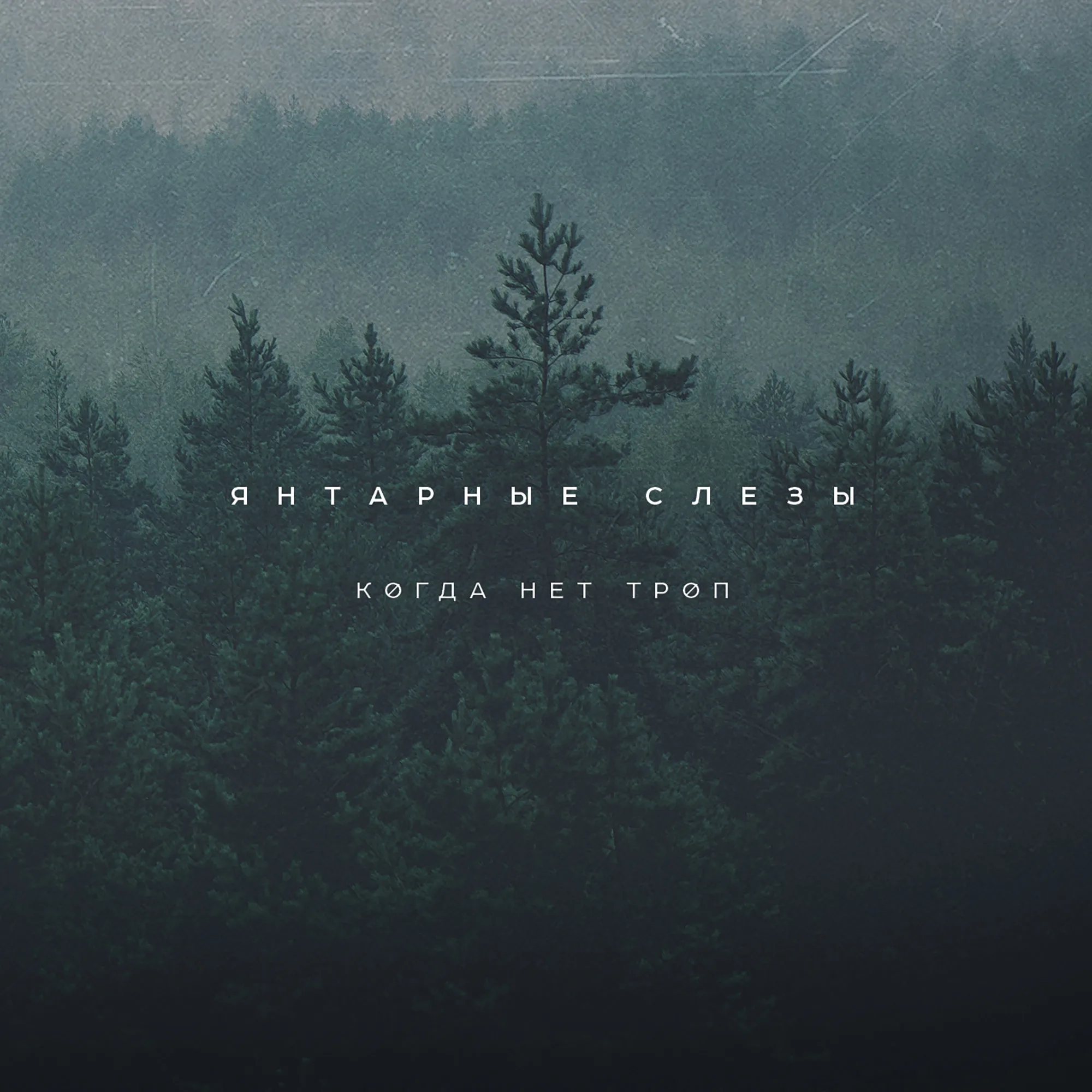 Official album cover art for the release Когда Нет Троп by Янтарные слёзы
