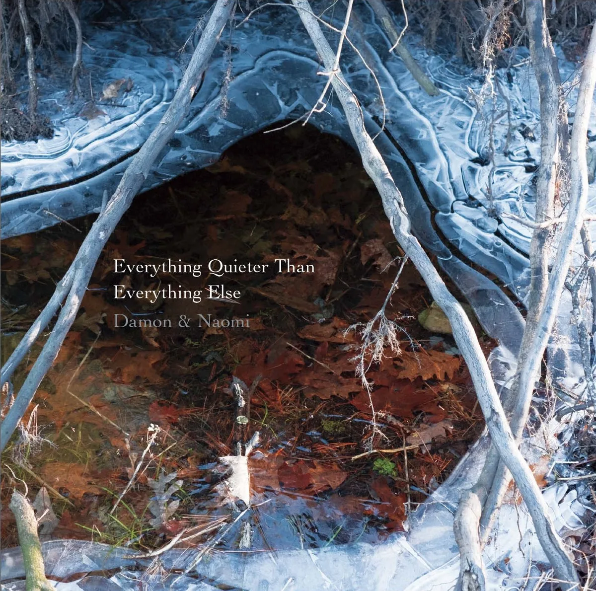 Official album cover artwork for Everything Quieter Than Everything Else by Damon & Naomi