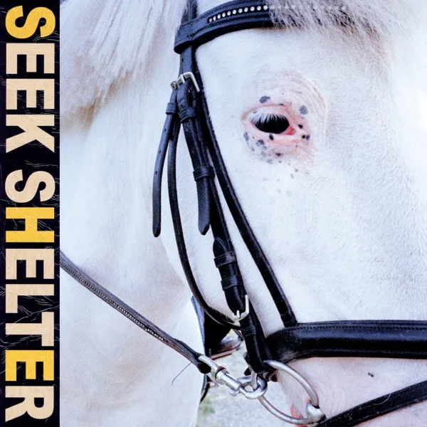 Official album cover art for the release Seek Shelter by Iceage