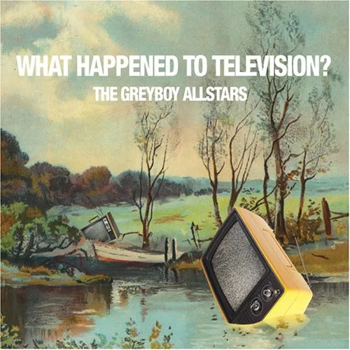 What Happened to Television?