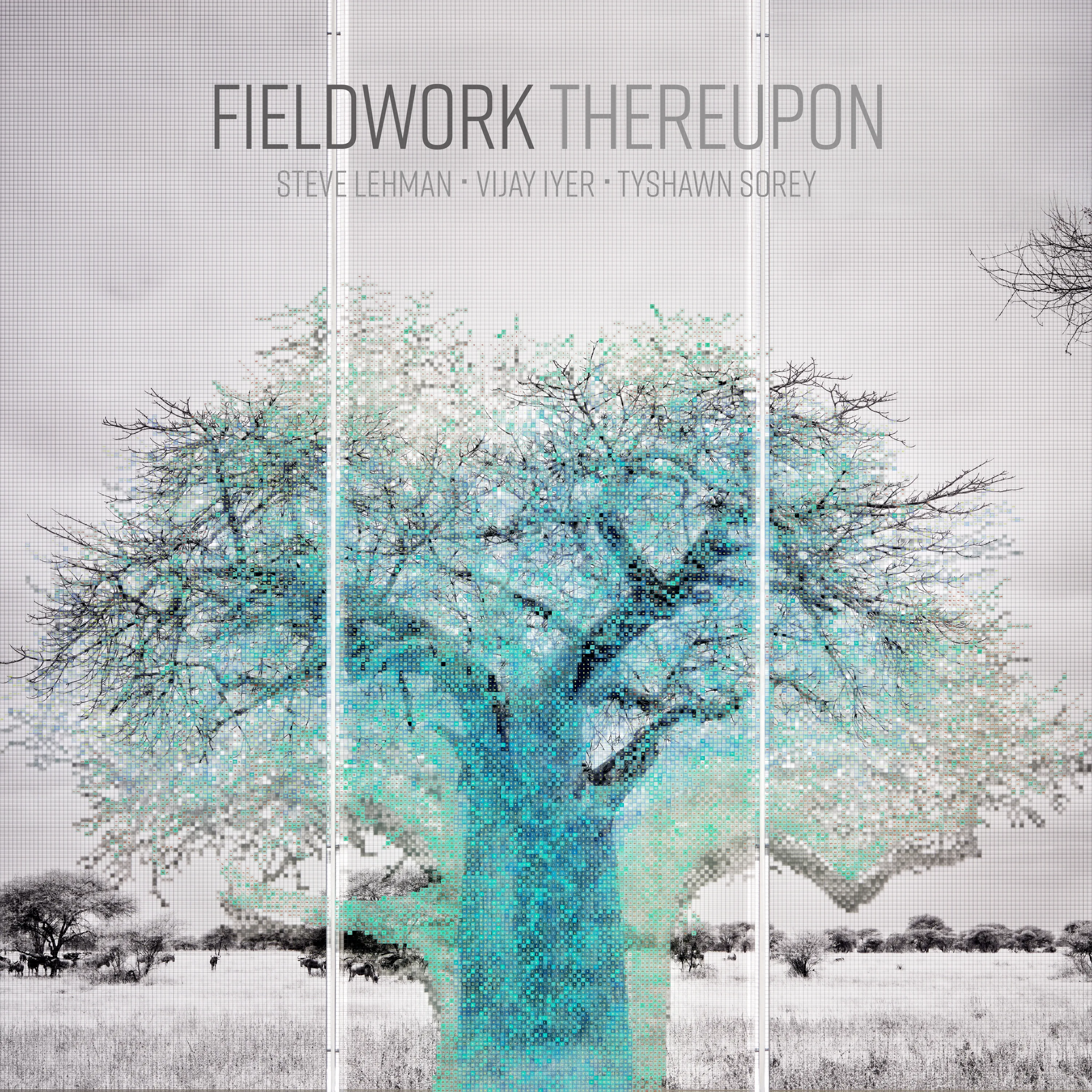 Official album cover art for the release Thereupon by Fieldwork