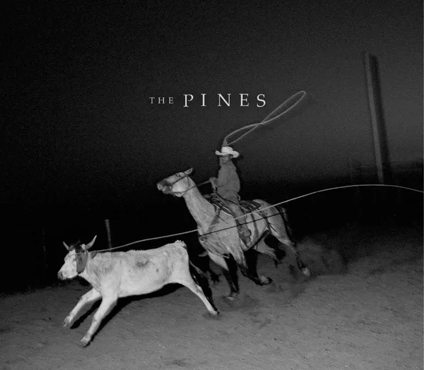 Pasture II