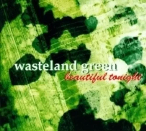 Official album cover art for the release Beautiful Tonight by Wasteland Green