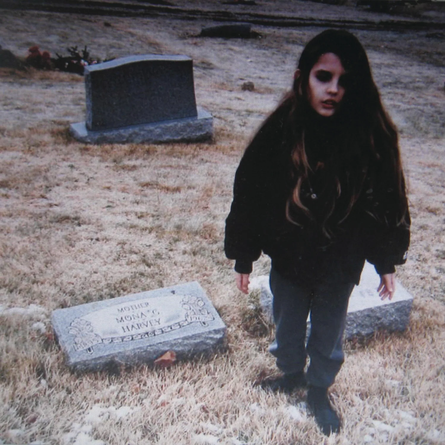Official album cover art for the release Crystal Castles by Crystal Castles